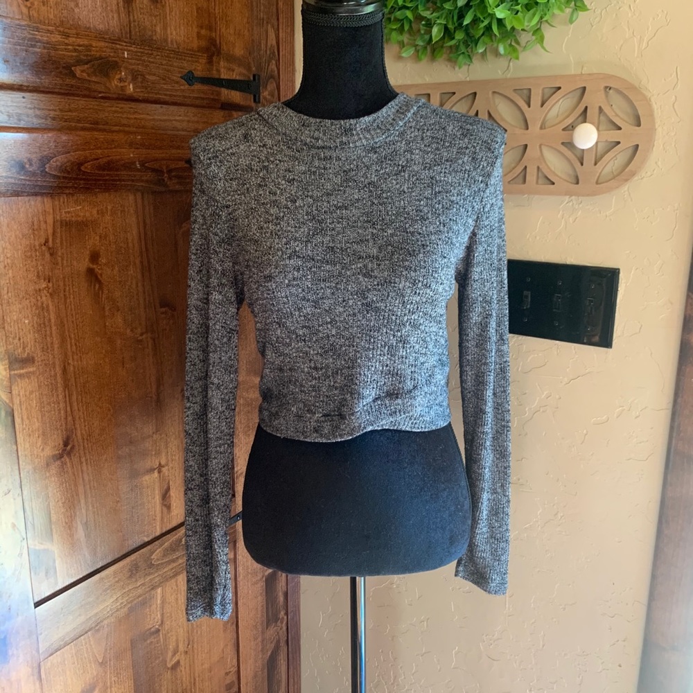 Long sleeved Crop